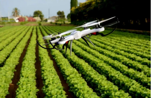 由AI技术应用于农业方面后想到的一些问题
